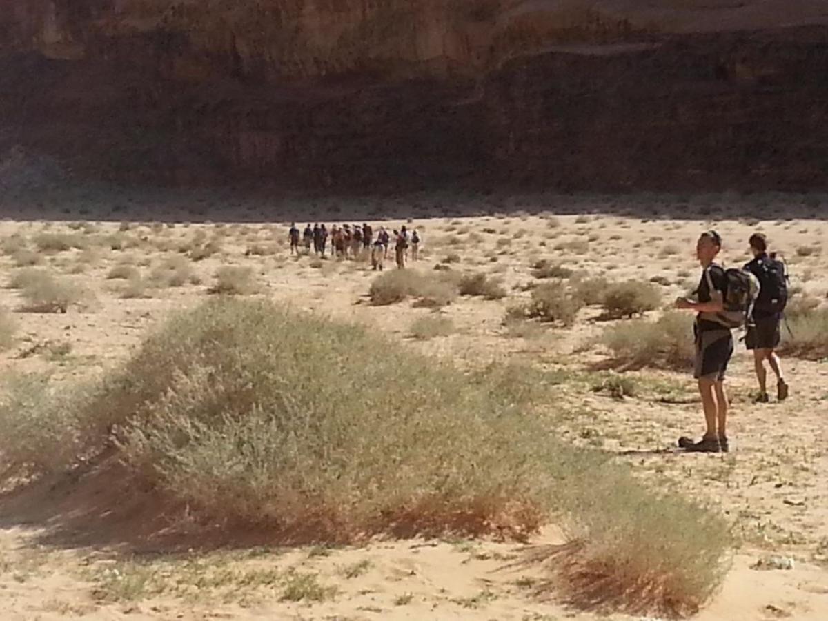 Hotel Zawaideh Desert Camp Wadi Rum Exteriér fotografie